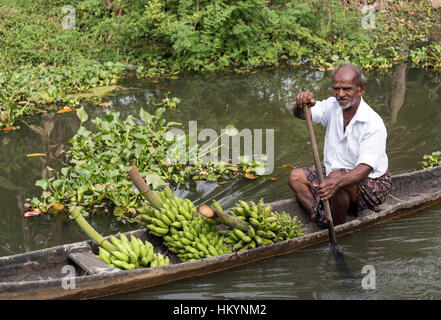 L uomo si porta le banane in una barca, Kumarakom Kerala Backwaters, India Foto Stock