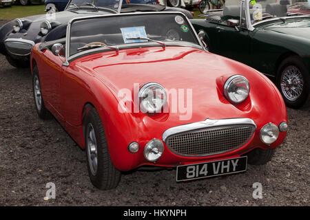 Vista di un Mark1 Austin-Healey Sprite (Frogeye), sul display nel Club Austin Healey zona, al 2016 Silverstone Classic Foto Stock