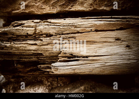 Secco, albero di decomporsi il legno vecchio muro, come sfondo Foto Stock