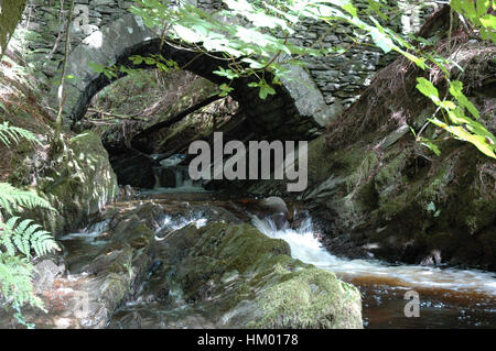 Ponte di pietra sul flusso impetuoso con foglie a sbalzo Foto Stock