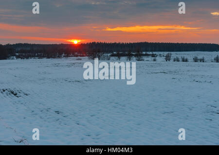 Tramonto sul settore agricolo alla stagione invernale in Sumskaya, Oblast di Ucraina Foto Stock