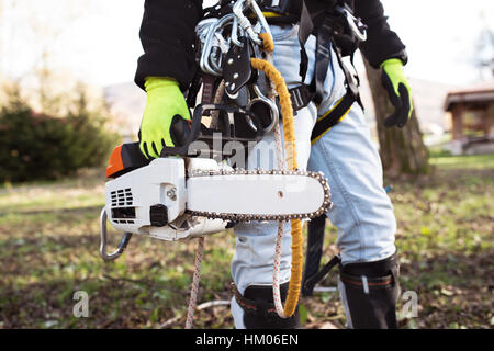 Lumberjack con cablaggio e sega a catena disposta a potare un albero. Foto Stock