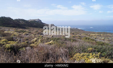 BIG SUR, CALIFORNIA, STATI UNITI - Ott 7, 2014: un percorso a piedi lungo l'Oceano Pacifico Garrapata State Park Foto Stock