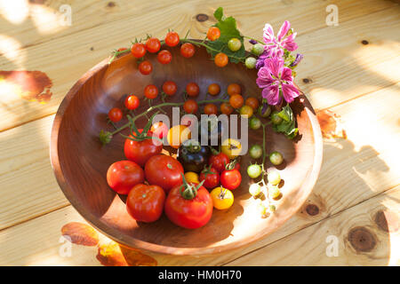 Varietà di cimelio di pomodori in un recipiente rustico e sulla luce di una superficie di legno Foto Stock