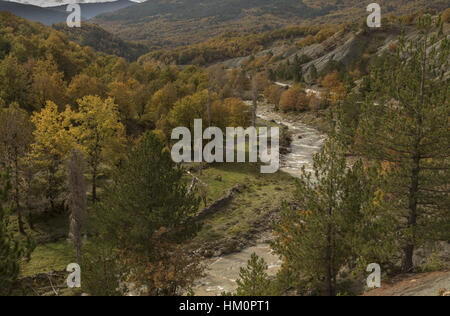 Colore di autunno nella valle Sarantaporos (un affluente del Aoös o Vjosë) nel nord vicino Pindo Kefalochori, Grecia. Foto Stock