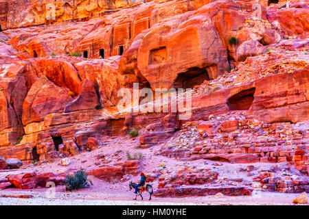 Donkey Rose Red Rock tombe pomeriggio Street di facciate Petra Giordania. Costruito dal Nabataens nel 200 A.C. al 400 D.C. Foto Stock