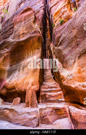 Scala scolpita Siq esterno Canyon ingresso in Petra Giordania Petra Giordania. Colorato di rosa gialla Canyon rosa diventa rosso quando il sole va. Foto Stock