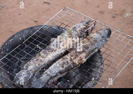 Grill snakehead striato pesce con sale oltre il carbone di legna Foto Stock