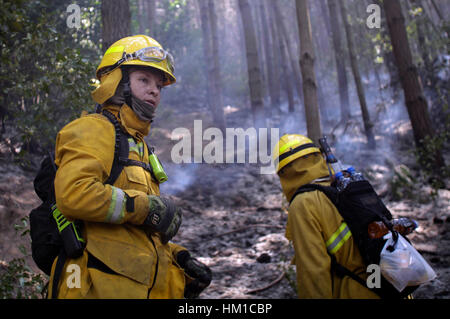 Città della Florida, Concepcion, Cile. 31 gennaio, 2017. Vigili del Fuoco prende parte al combattimento contro un incendio di foresta, in Florida cittadina, in Concepcion provincia, regione Biobio, Cile. Il Cile ha ancora 14 comuni, due regioni e una provincia su red alert come wild gli incendi continuano a rage nel paese. Credito: Xinhua/Alamy Live News Foto Stock