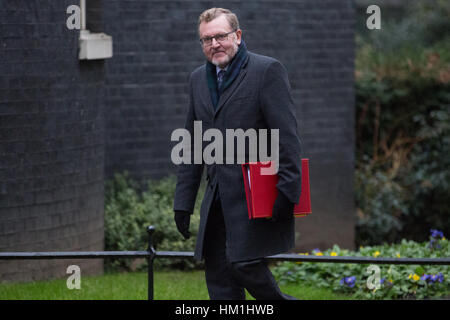 Londra, Regno Unito. 31 gennaio, 2017. David Mundell MP, Segretario di Stato per la Scozia, arriva al 10 di Downing Street per una riunione del gabinetto. Credito: Mark Kerrison/Alamy Live News Foto Stock