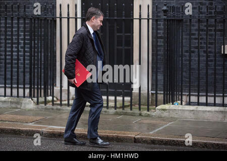 Londra, Regno Unito. 31 gennaio, 2017. David Gauke MP, Primo Segretario al tesoro, arriva al 10 di Downing Street per una riunione del gabinetto. Credito: Mark Kerrison/Alamy Live News Foto Stock