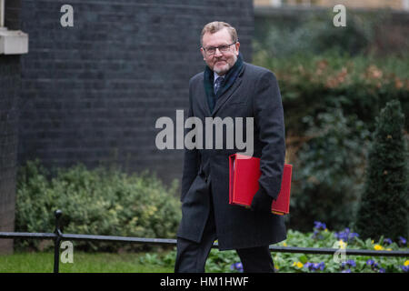 Londra, Regno Unito. 31 gennaio, 2017. David Mundell MP, Segretario di Stato per la Scozia, arriva al 10 di Downing Street per una riunione del gabinetto. Credito: Mark Kerrison/Alamy Live News Foto Stock