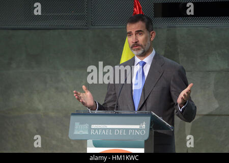 Madrid, Spagna. 31 gennaio, 2017. Re spagnolo Felipe VI durante la consegna del XIX edizione del Codespa Awards di Madrid. Credito: Gtres Información más Comuniación on line,S.L./Alamy Live News Foto Stock