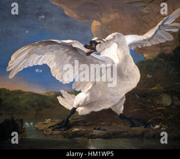 The minaccied Swan, by, Jan Asselijn, circa 1650, Rijksmuseum, Amsterdam, Paesi Bassi, Europa, Foto Stock