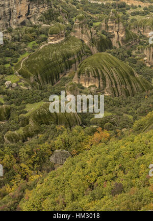 Pinnacoli di conglomerato, pesantemente eroso, coperti di muschio in un umido autunno. Meteora, Grecia. Foto Stock