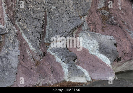 Splendidamente stratificata e ripiegato rocce colorate, costituita da rocce di flysch - letti sottile di classificato arenarie intercalate con morbidi, fissili siltstone Foto Stock