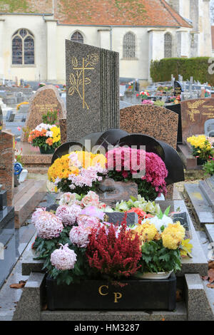 Chrysanthèmes sur une tombe. Foto Stock