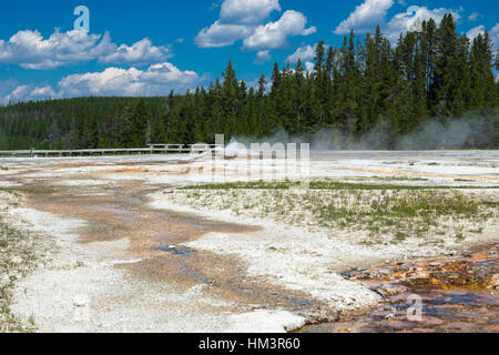 Daisy Geyser, Upper Geyser Basin, il Parco Nazionale di Yellowstone, Wyoming USA Foto Stock