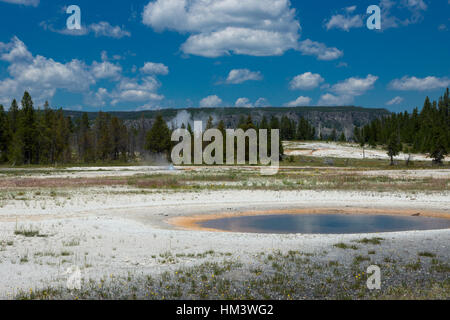 Daisy Geyser, Upper Geyser Basin, il Parco Nazionale di Yellowstone, Wyoming USA Foto Stock