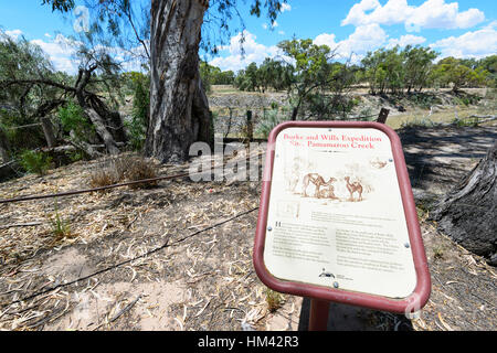 Burke e Wills' base camp site durante la loro spedizione 1860, Pamamaroo Creek, vicino Menindee, Nuovo Galles del Sud, Australia Foto Stock