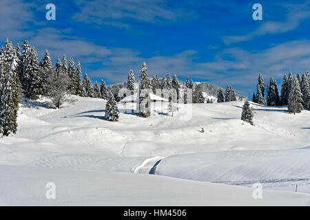 Sci di fondo corsa del Trans-Jura Swiss a lunga distanza sentiero sci, sci nordico centro Saint-Cergue, Vaud, Svizzera Foto Stock