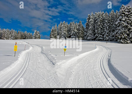 La biforcazione del Trans-Jura Swiss a lunga distanza sentiero sci, sci nordico centro Saint-Cergue, Vaud, Svizzera Foto Stock