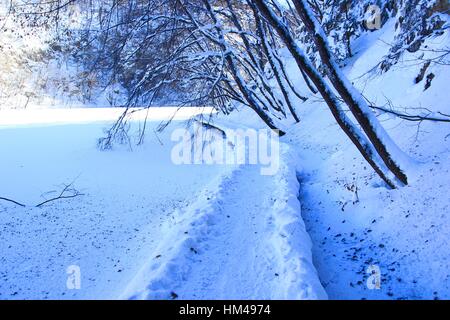 I laghi di Plitvice in inverno, il paesaggio con il percorso e gli alberi coperti di neve Foto Stock