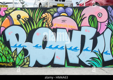 Bondi Beach Sea Wall, coperte di sancita la street art e graffiti di Sydney, Nuovo Galles del Sud Australia Foto Stock