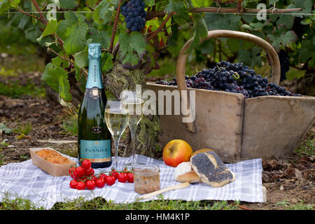 Bauletto Champagne presso il Château Thierry (Francia settentrionale) Foto Stock