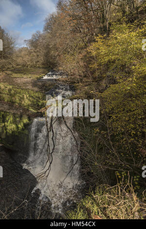 Sgwd Clun-gwyn, caduta della bianca prato, Afon Mellte, Ystradfellte, quattro cascate, Brecon Beacons. Foto Stock