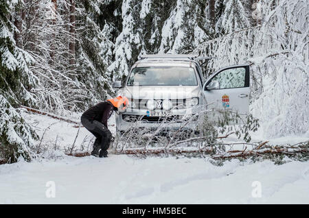 Cancellazione di una strada forestale dopo la nevicata, Svezia Foto Stock