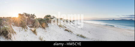 Spiaggia al tramonto, Waipu, Northland e Nuova Zelanda Foto Stock