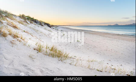 Spiaggia al tramonto, Waipu, Northland e Nuova Zelanda Foto Stock