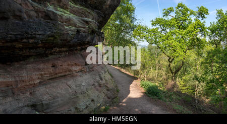 Il sentiero a Alderley Edge nel Cheshire. Una passeggiata lungo il bordo di pietra arenaria nella campagna del Cheshire. Foto Stock