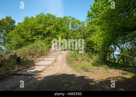 La Armada radiofaro in Alderley Edge nel Cheshire, Inghilterra. Foto Stock