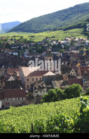 Vue aérienne sur le village et les vignobles. Riquewihr. F 68 Foto Stock