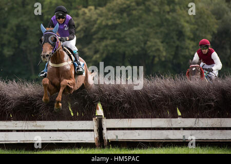 WROCLAW, Polonia - 4 settembre; 2016: Horse Racing Grand Partynicka al Racecourse WTWK Partynice. In azione A. Chopyk su un cavallo di rivestimento. Foto Stock