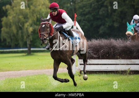 WROCLAW, Polonia - 4 settembre; 2016: Horse Racing Grand Partynicka al Racecourse WTWK Partynice. In azione vincitore N. Loven na koniu Calvados. Foto Stock