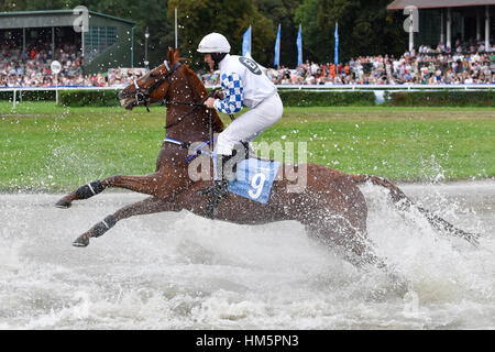 WROCLAW, Polonia - 4 settembre; 2016: Horse Racing - Gran Premio Wroclawska Aeroporto Wroclaw. In azione J. Kousek sul cavallo Larizano. Foto Stock