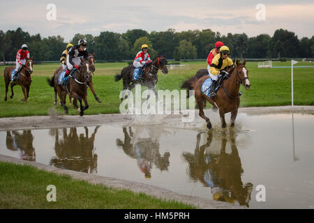 WROCLAW, Polonia - 4 settembre; 2016: Horse Racing - Gran Premio Wroclawska Aeroporto Wroclaw. Conduce M. Stromsky (10) a cavallo il sergente Thunder. Foto Stock