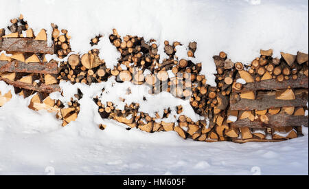 Grande catasta di legna da ardere impilati al di fuori nella neve Foto Stock