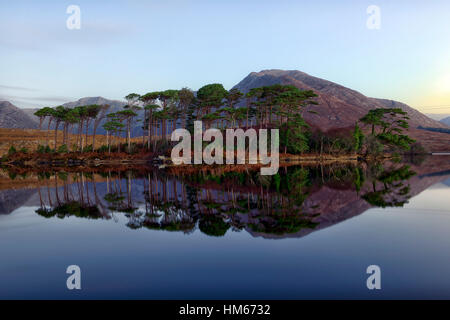 Il Lough Derryclare lake Connemara Pine Island montagne selvatica modo atlantico Ovest dell Irlanda specchio riflette ancora la calma Foto Stock