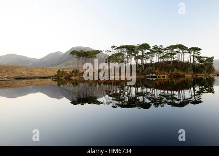 Il Lough Derryclare lake Connemara Pine Island montagne selvatica modo atlantico Ovest dell Irlanda specchio riflette ancora la calma Foto Stock