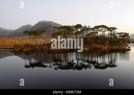 Il Lough Derryclare lake Connemara Pine Island montagne selvatica modo atlantico Ovest dell Irlanda specchio riflette ancora la calma Foto Stock