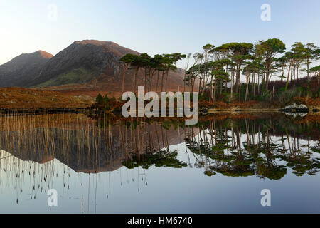 Il Lough Derryclare lake Connemara Pine Island montagne selvatica modo atlantico Ovest dell Irlanda specchio riflette ancora la calma Foto Stock