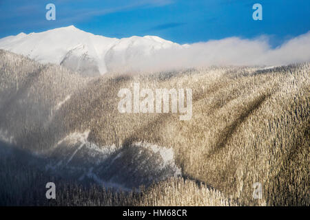 Antenna vista invernale di Esplanade gamma; sub-gamma di Selkirk gamma; British Columbia; Canada Foto Stock