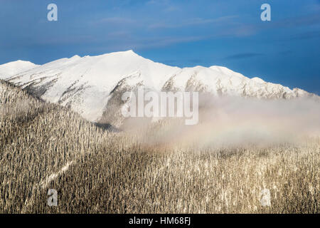 Antenna vista invernale di Esplanade gamma; sub-gamma di Selkirk gamma; British Columbia; Canada Foto Stock