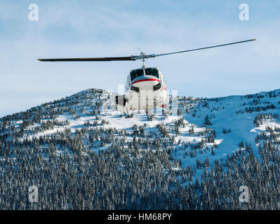 Elicottero in arrivo tenendo backcountry sciatori da remoto rifugio; Esplanade gamma; sub-gamma di Selkirk gamma; British Columbia; Canada Foto Stock