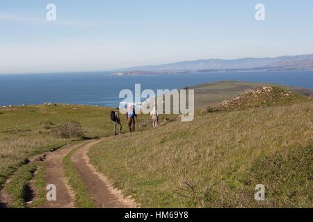 Tre uomini escursionismo su un sentiero a Point Reyes National Seashore in California, Stati Uniti d'America. Foto Stock
