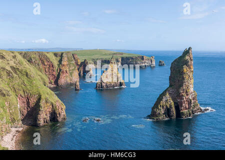 Costa frastagliata Duncansby pile vicino a John O' Semole, Scotland, Regno Unito Foto Stock